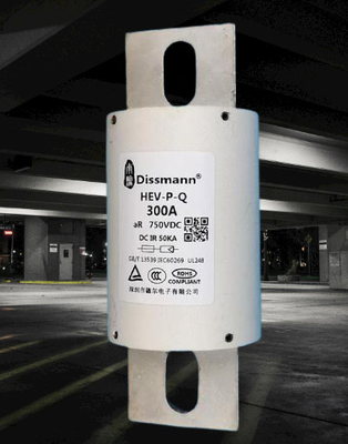 600A 産業力のヒューズ 1000VDC の EV 電池の高い現在のヒューズ