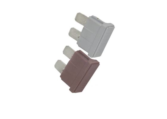 つけられた自動車1つのAmpの速い代理のヒューズPBTの物質的で平らな形