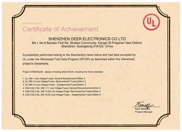 中国 Dissmann | Global Expert Fuse for EV | HEV | Photovoltaic | Battery | Energy Storage Solutions 認証