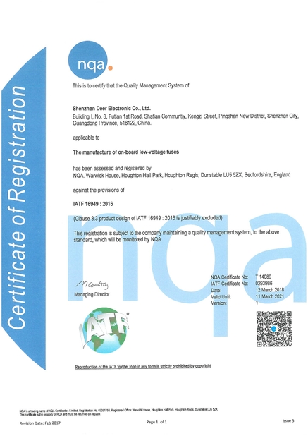 中国 Dissmann | Global Expert Fuse for EV | HEV | Photovoltaic | Battery | Energy Storage Solutions 認証