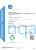 中国 Dissmann | Global Expert Fuse for EV | HEV | Photovoltaic | Battery | Energy Storage Solutions 認証